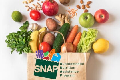 $1751 SNAP Food Stamps Checks July 2024: How to Apply, Eligibility, and Payment Details